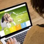 Femme regardant sur son portable un site internet avec un chien